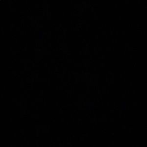 Meet your Posher, Kass